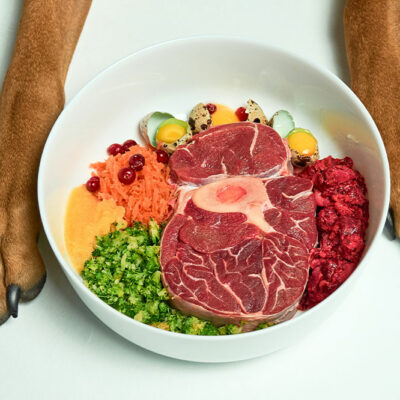 4 High-Protein Dog Foods