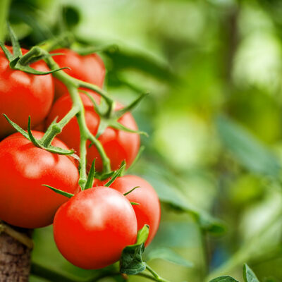 9 Foods That Fight Inflammation