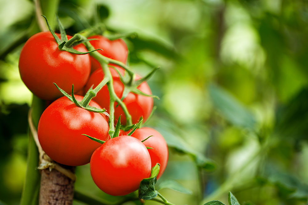 9 Foods That Fight Inflammation
